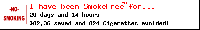 SmokeFree9 29 09 57086