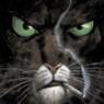 smokeycaat