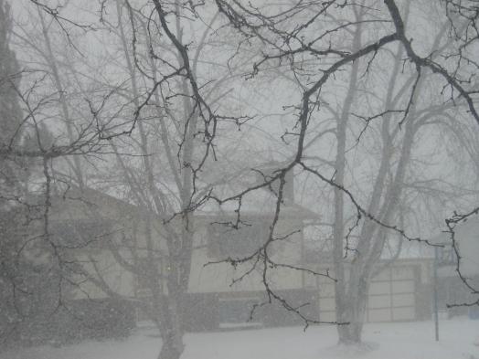 Snow March 26 2009