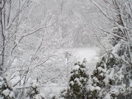 snow