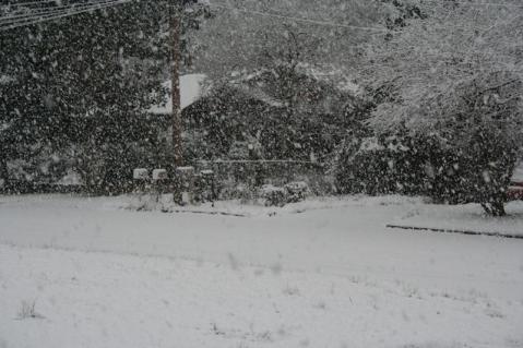 snowpics1 009