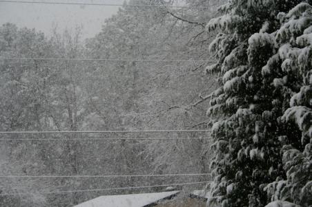snowpics1 016