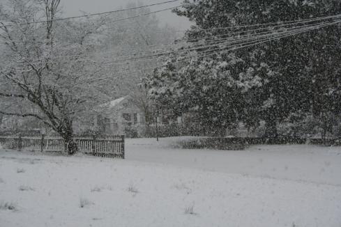 snowpics1 018