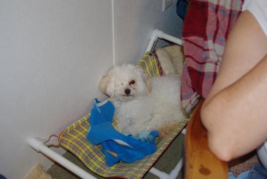 sunny in hammocksmall