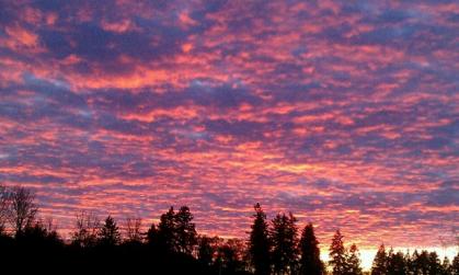 Sunset in front of the house one evening.