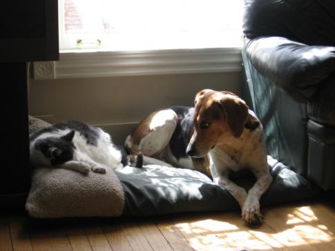 Sydney and Kiki