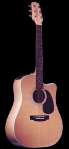 Takamine EF350MC