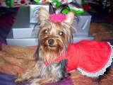 th 100 1057
PENNY