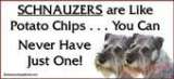 th SchnauzerPotatoChips[1]