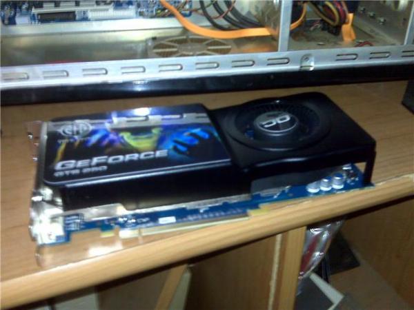 the beast