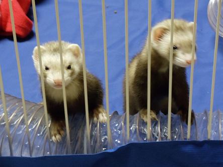 The kids in jail