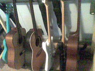 The other women. "Pretty ladies all in a row..."