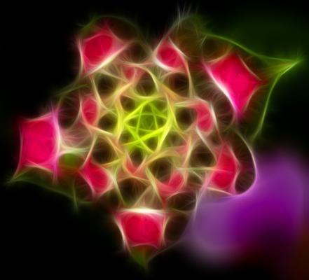 This is known as a Phart (photo art)... heavily photoshopped image of a lantana bloom
