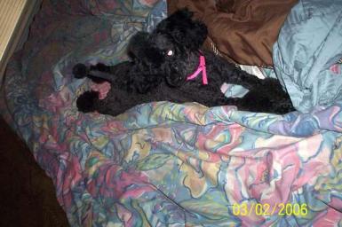 This is LaQuita, my oldest- she'll be 9 in August 2010