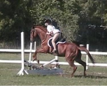 This is my daughter on Posey competing in a show