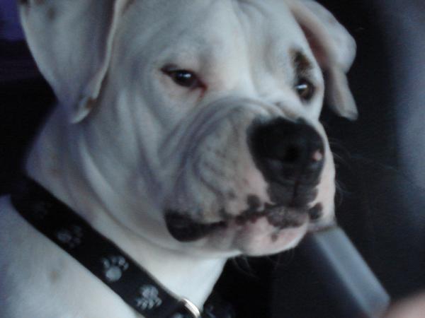 This is what Kilo thinks about smoking real cigs...