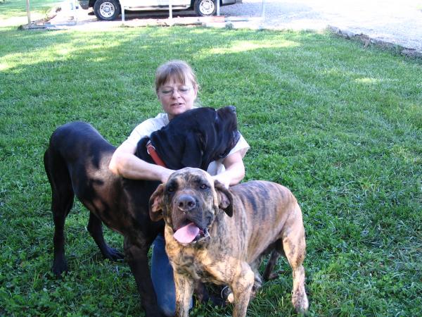 To the dogs