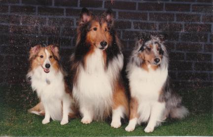 Topaz, Sunny, Shep