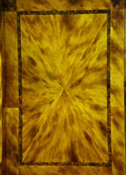 Tortoise shell