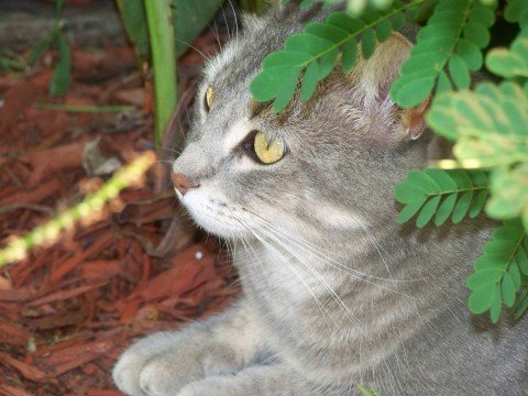 Trixi sitting pretty.