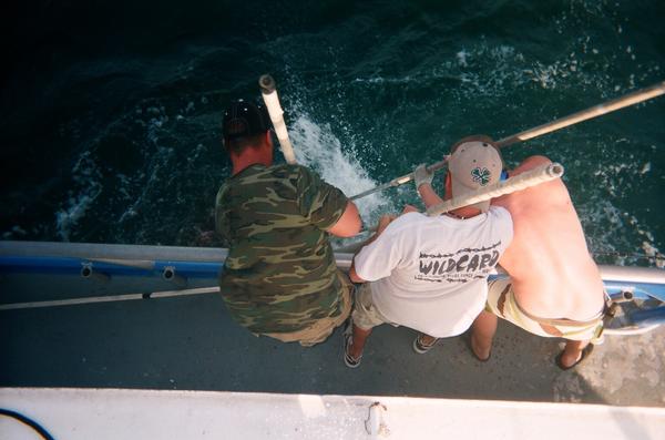 Trying to get the shark in the boat.