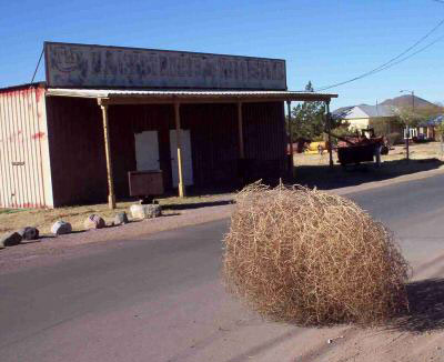 tumbleweed