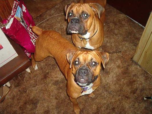 Two of my buddies