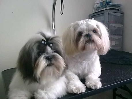 Ty and Alf