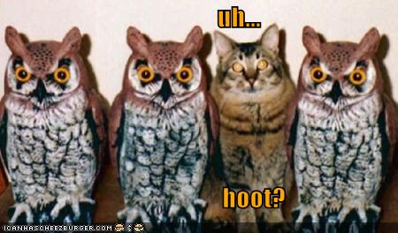 uh... hoot?