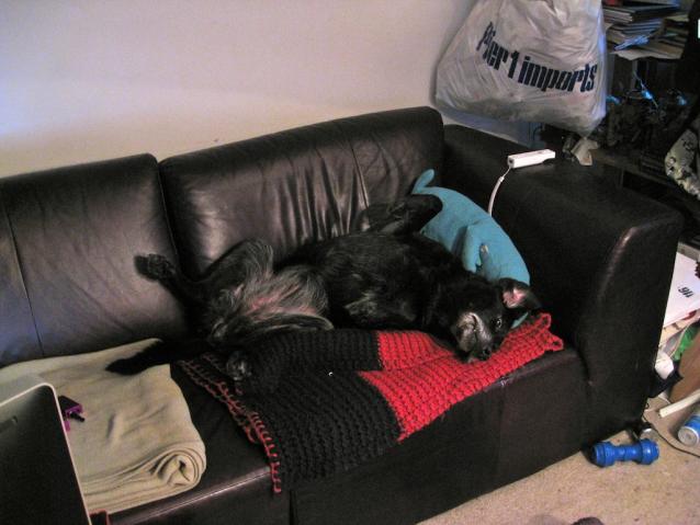 Una's favourite way to sleep. =)