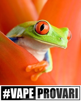 VapeProvari