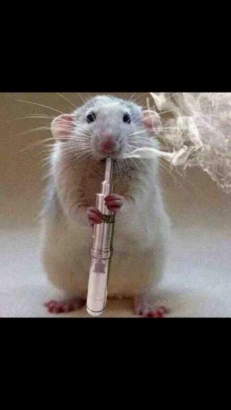 Vaping Mouse.jpg