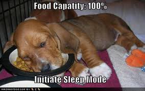 vapowsleep