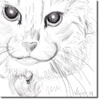 Very first sketch I did on the Wacom. Gimp, using pencil. Mom's cat, Bucky.