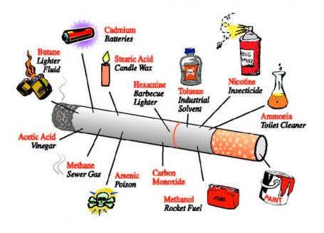what is inside a cigarette