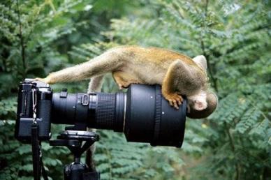 What's In That Camera
