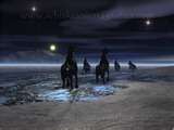 wild horses at night