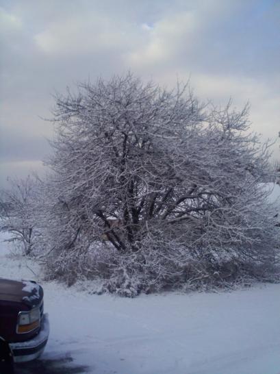 Winter 2010
