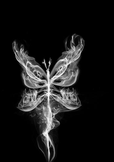 work 4206817 1 flat,550x550,075,f butterfly smoke