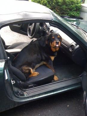 "Zoe...get outa' my car!"