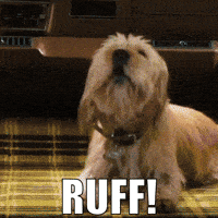 200_s.gif