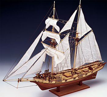 cns80702.jpg