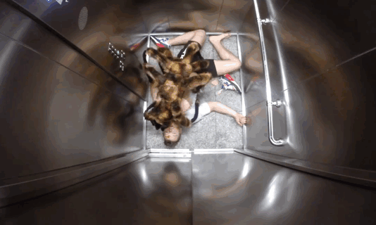 dog-spider-prank-sa-wardega-121.gif