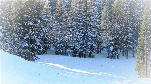 02c2808e3b9a9805459ec93d29b2543a.gif