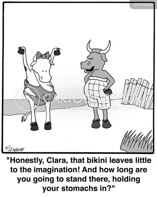 animals-cow-bovine-swimsuit-beach-lose-awhn142_low.jpg
