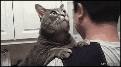 BwUw1yF.gif