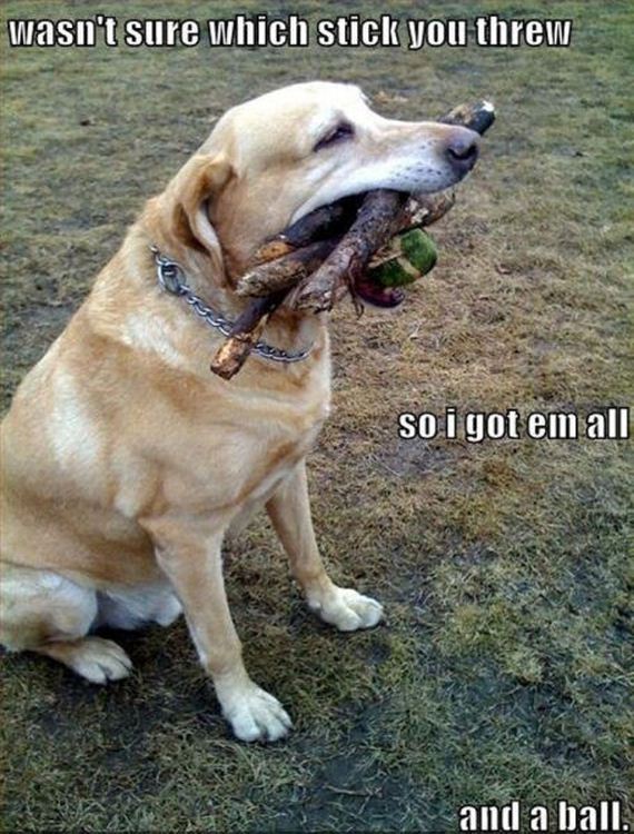 02-funny_captions.jpg