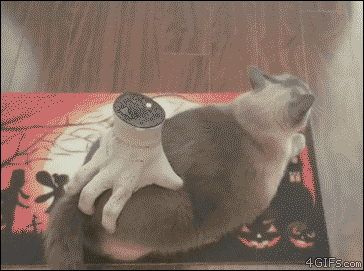 47169300b1b5b1eb56ec759469ba409a.gif