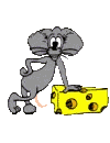 mouse-cheese.gif