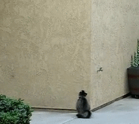 this-can-knows-no-boundaries